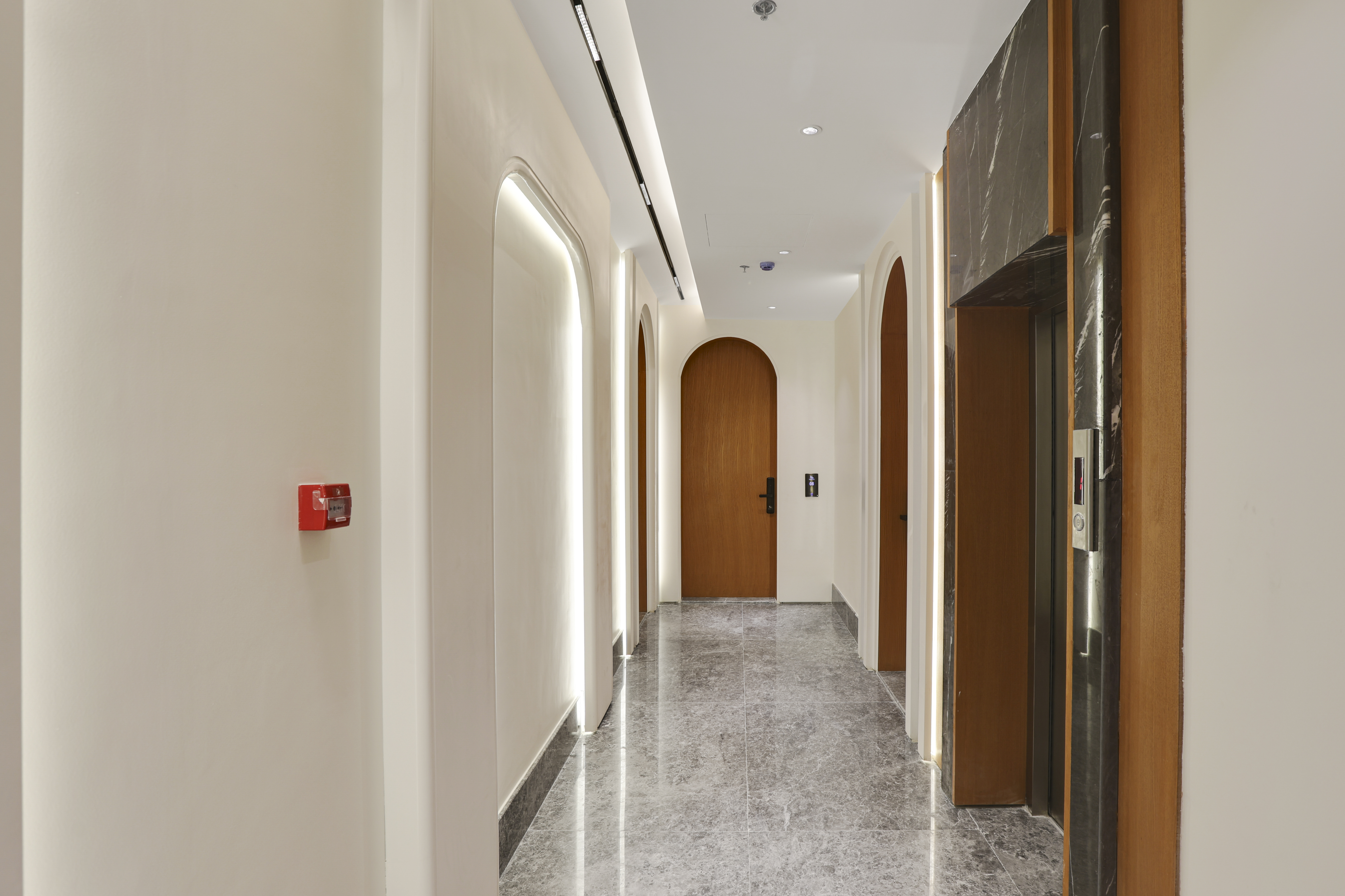 5 - Image 5